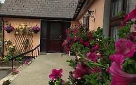 Eriu Lodge